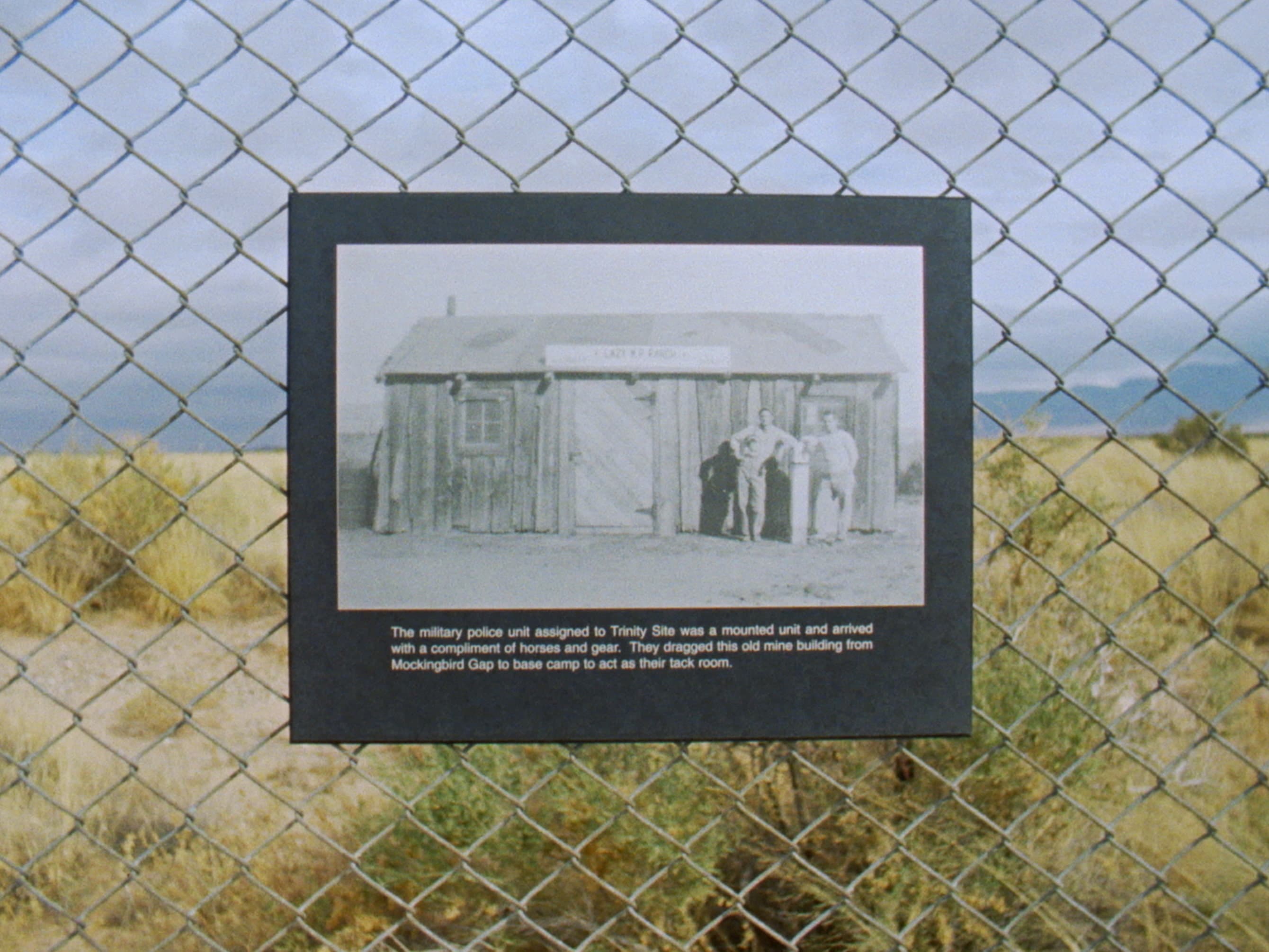 project Flowers for LH