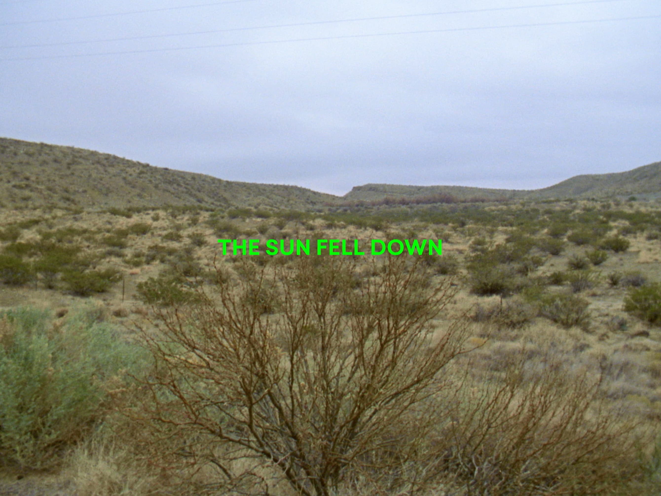 project Flowers for LH