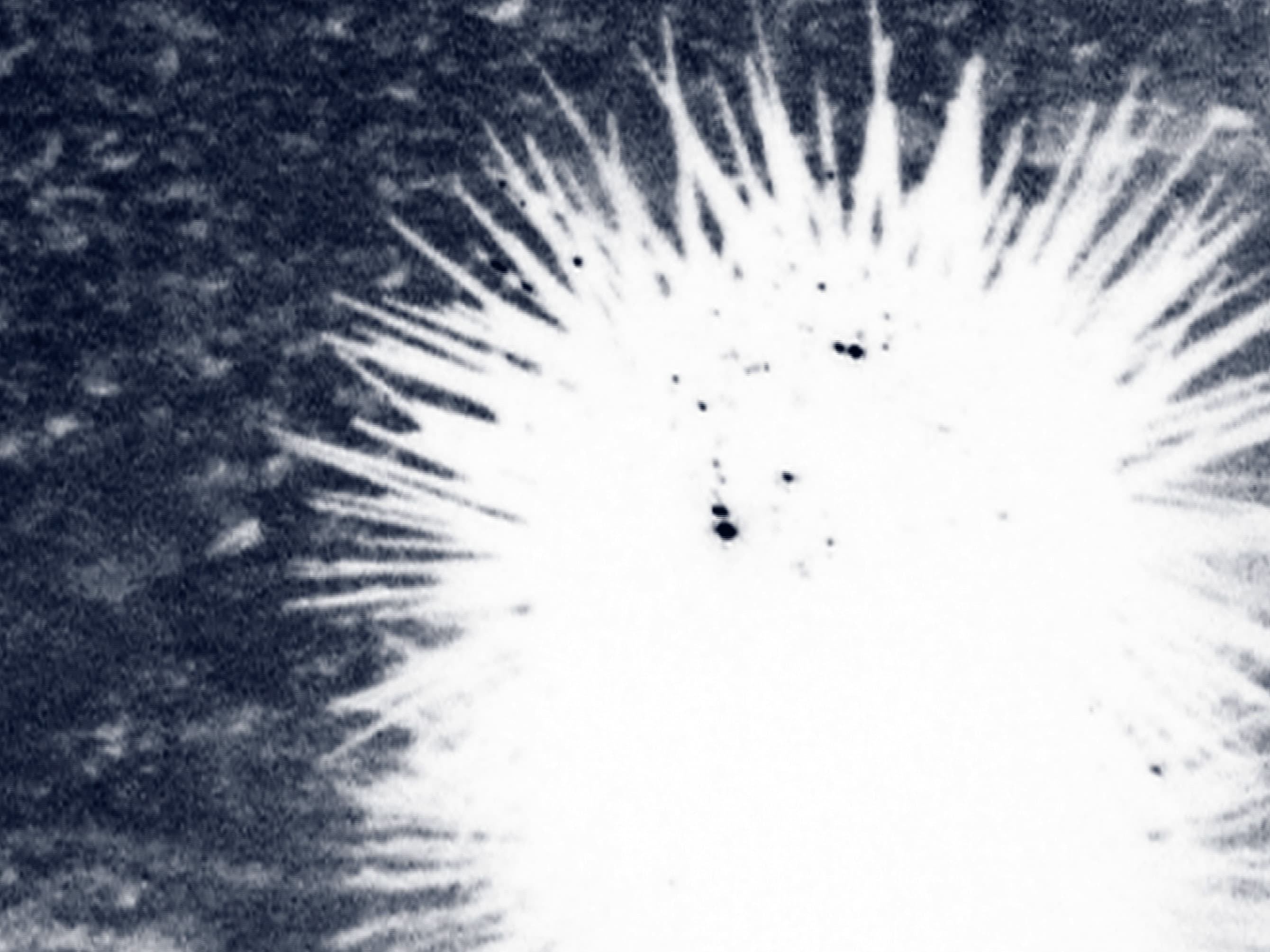 project Grace + Gravity