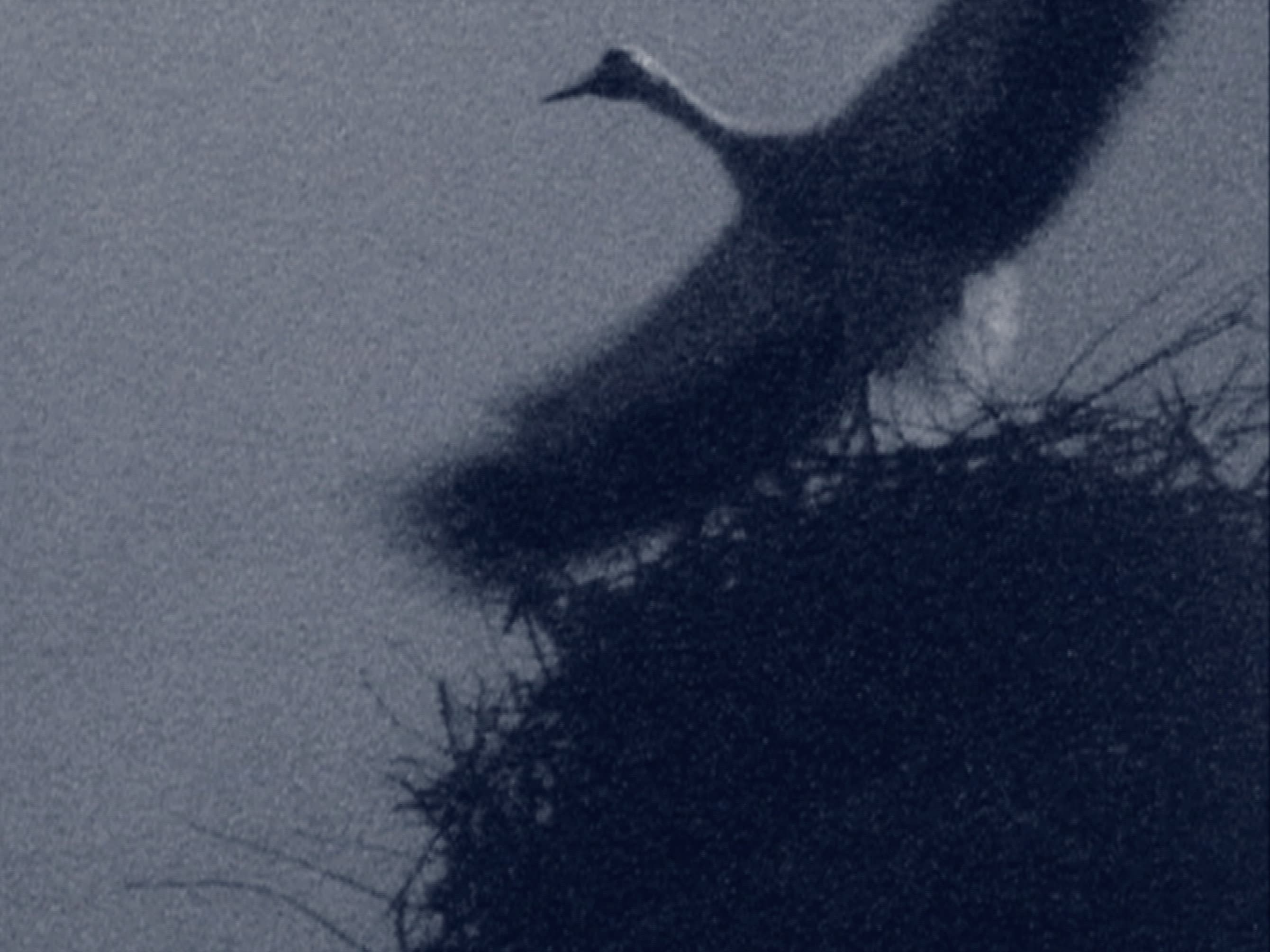 project Grace + Gravity