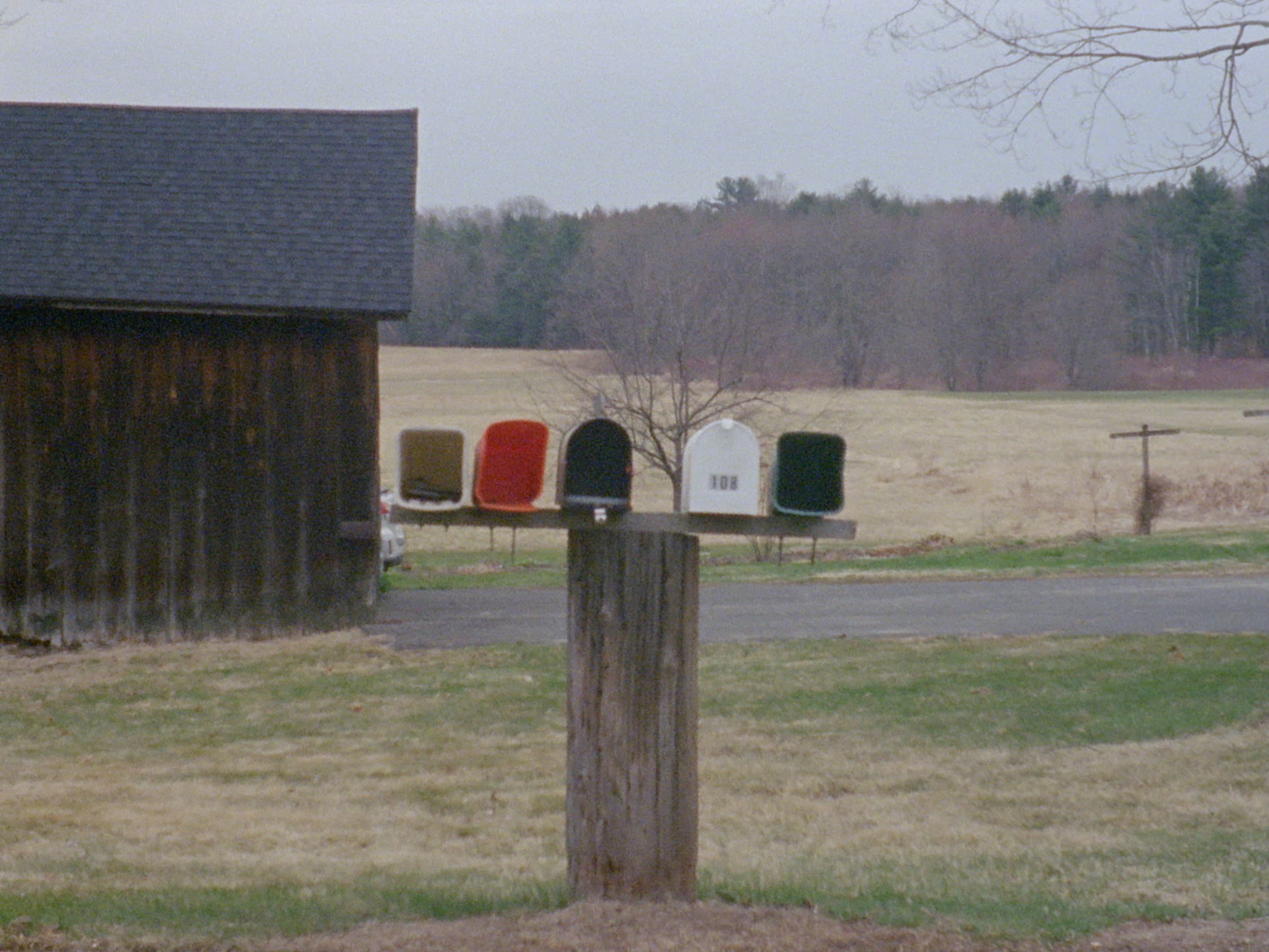 project Wille and Brewsie