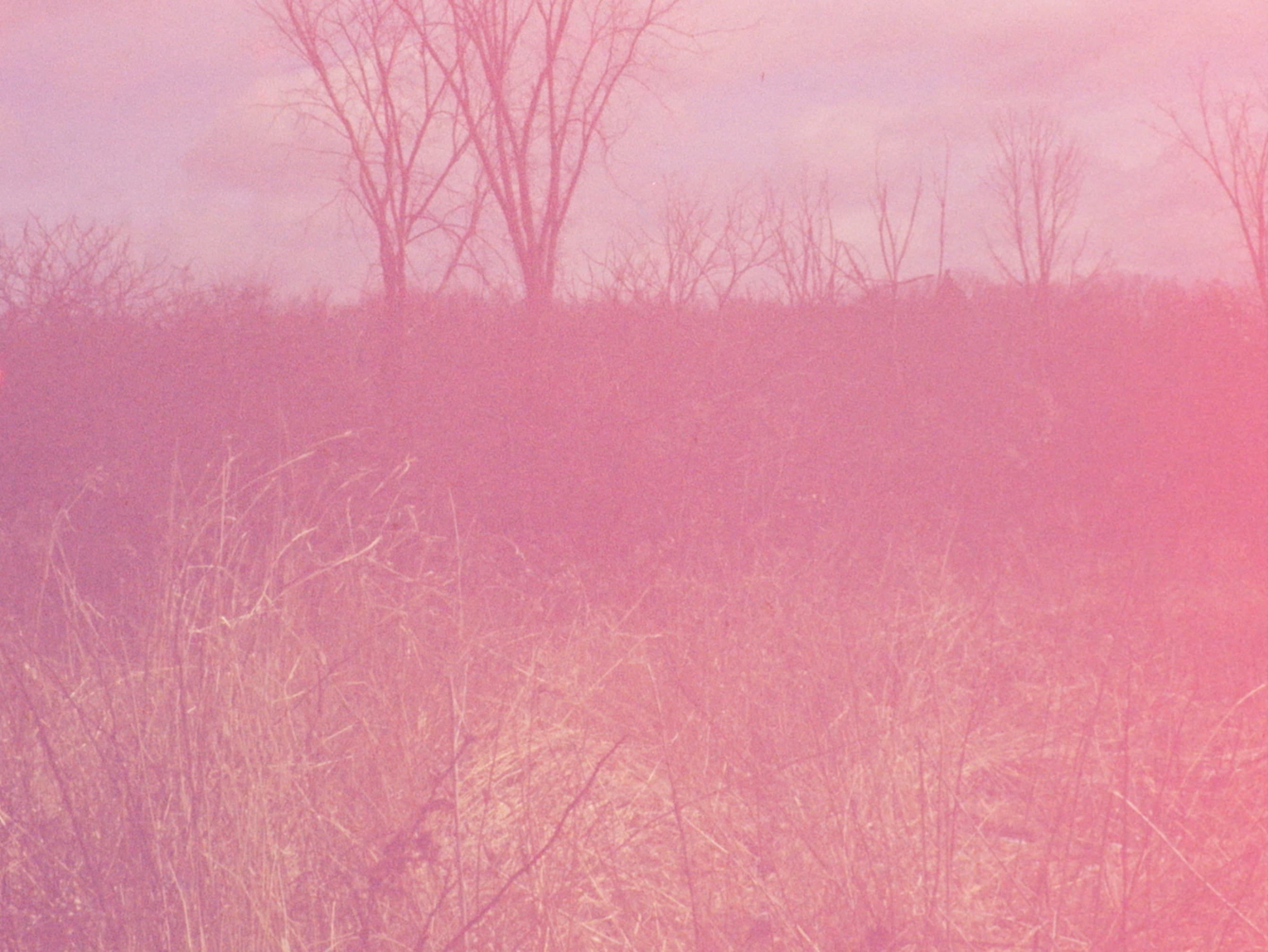 project Wille and Brewsie