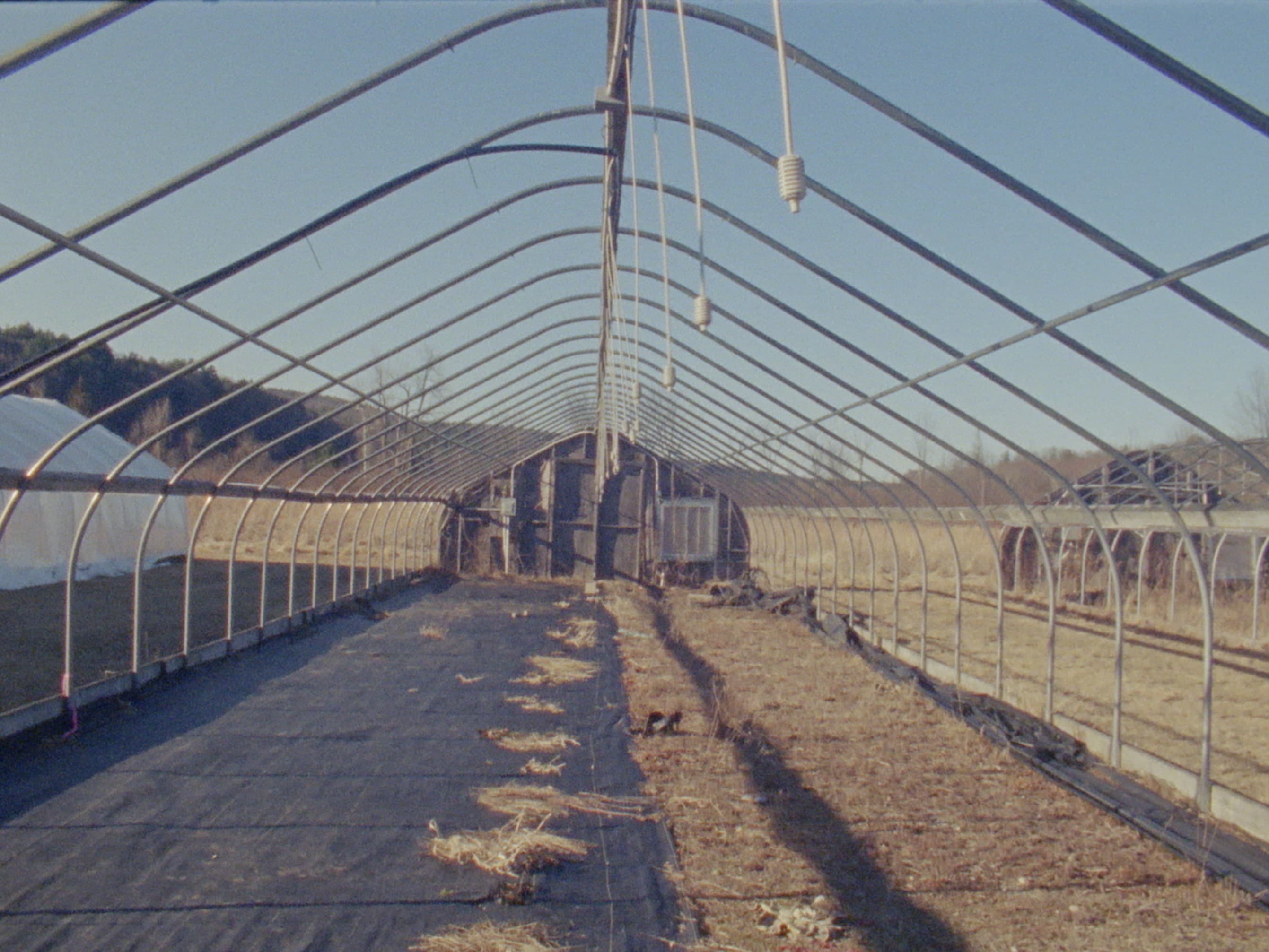 project Wille and Brewsie