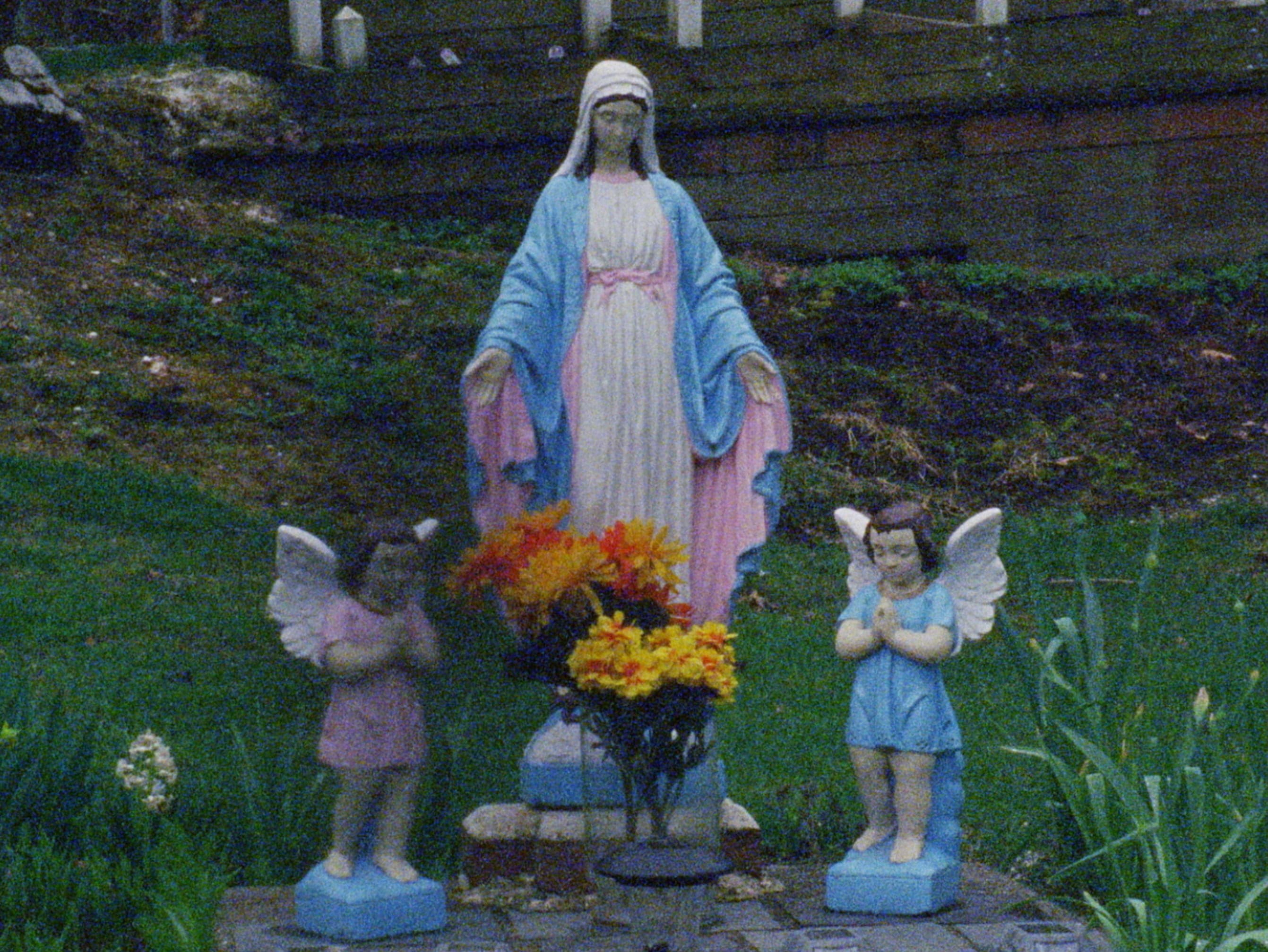 project Wille and Brewsie